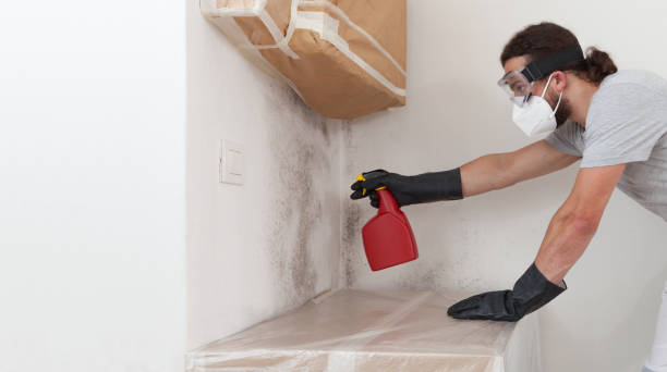 Professional Crawl Space Mold Remediation technician working in Modena, PA