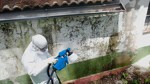 Top rated local Crawl Space Mold Remediation specialists in Modena, PA